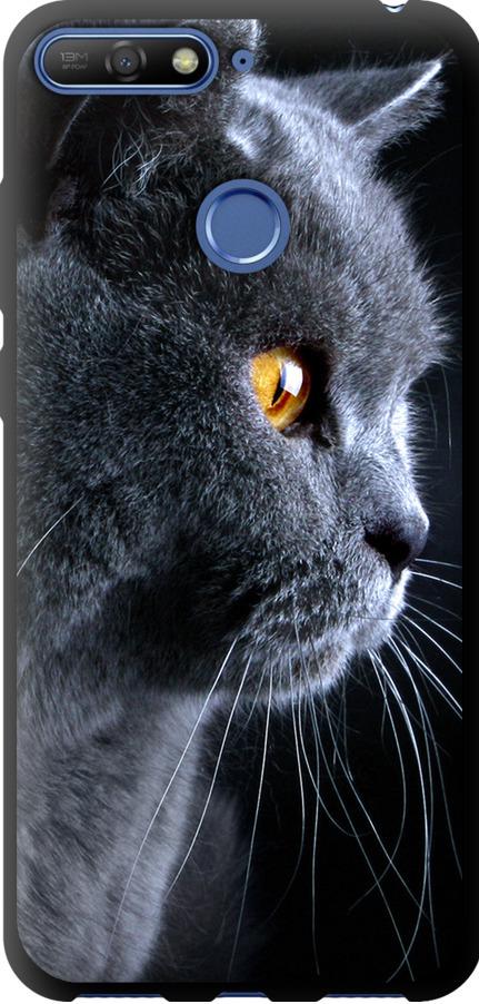 Чехол на Huawei Honor 7C Красивый кот (3038b-1411-42517)