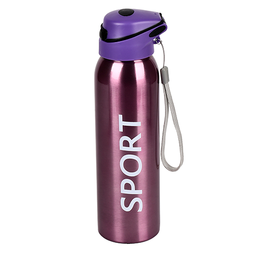 Термос-поилка Stenson Sport New 500 мл Purple (MT-3455-0.5) Термос-поилка Stenson Sport New 500 мл Purple (MT-3455-0.5)