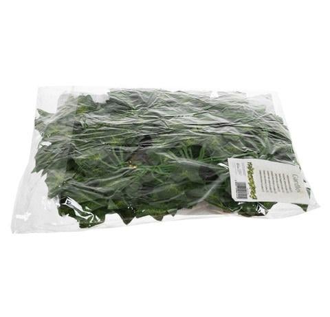 Плющ искусственный декоративный для отделки интерьера 50,4 м Зеленый - фото 7