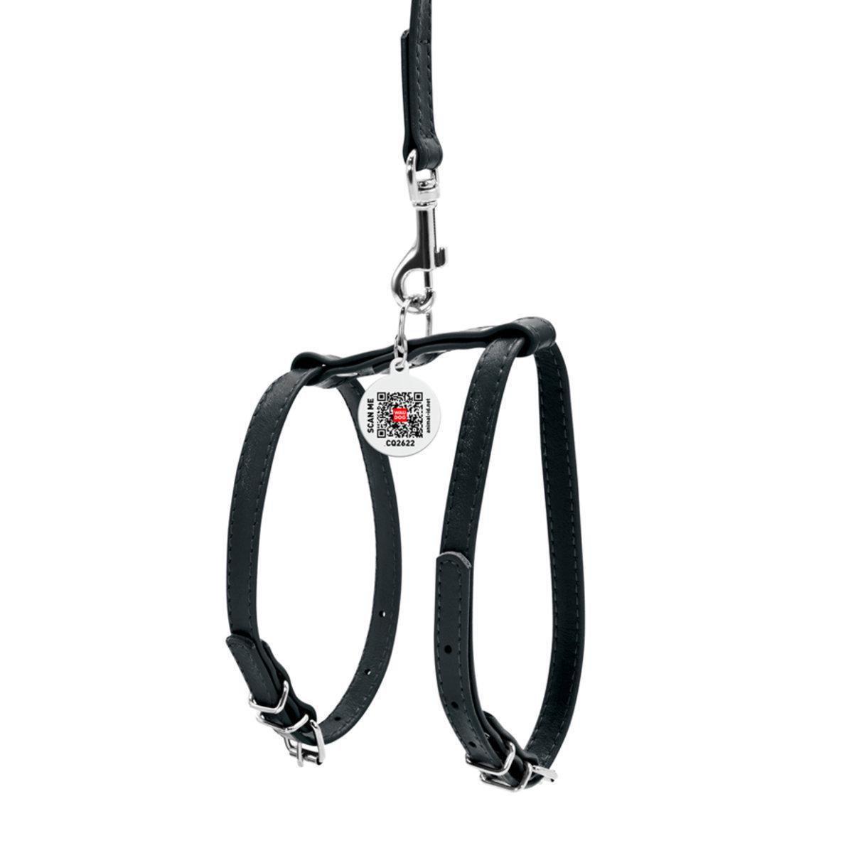 Шлея с поводком для собак Waudog Glamour с QR паспортом/кожаной 9 мм х 20-30 см х 30-40 см Черный (33991 Col)