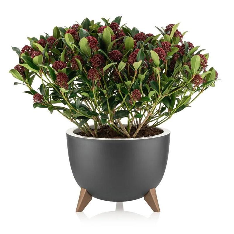 Горшок для цветов Serinova Ufo 10 л 2 шт. Антрацитовый - фото 5 Горшок для цветов Serinova Ufo 10 л 2 шт. Антрацитовый - фото 5