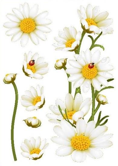 Декоративная наклейка Арт-Декор 27 Ромашки 50х70 см (2000000483795)