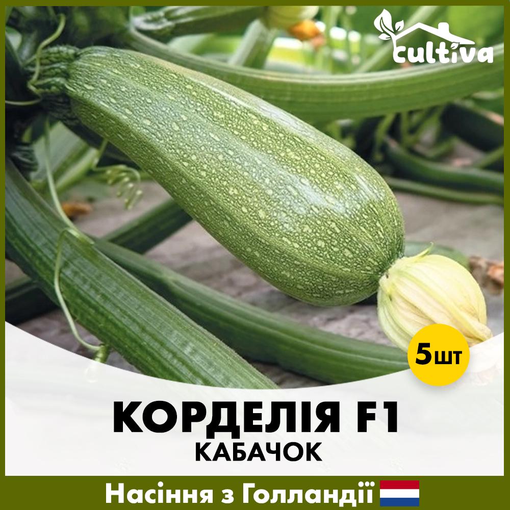 Семена кабачку Syngenta Корделия F1 5 шт. (R51140)