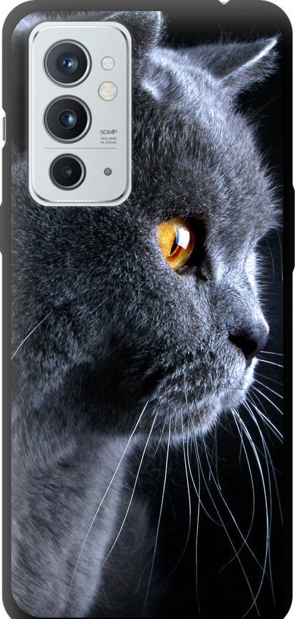 Чехол на OnePlus 9RT Красивый кот (3038b-2520-42517) Чехол на OnePlus 9RT Красивый кот (3038b-2520-42517)