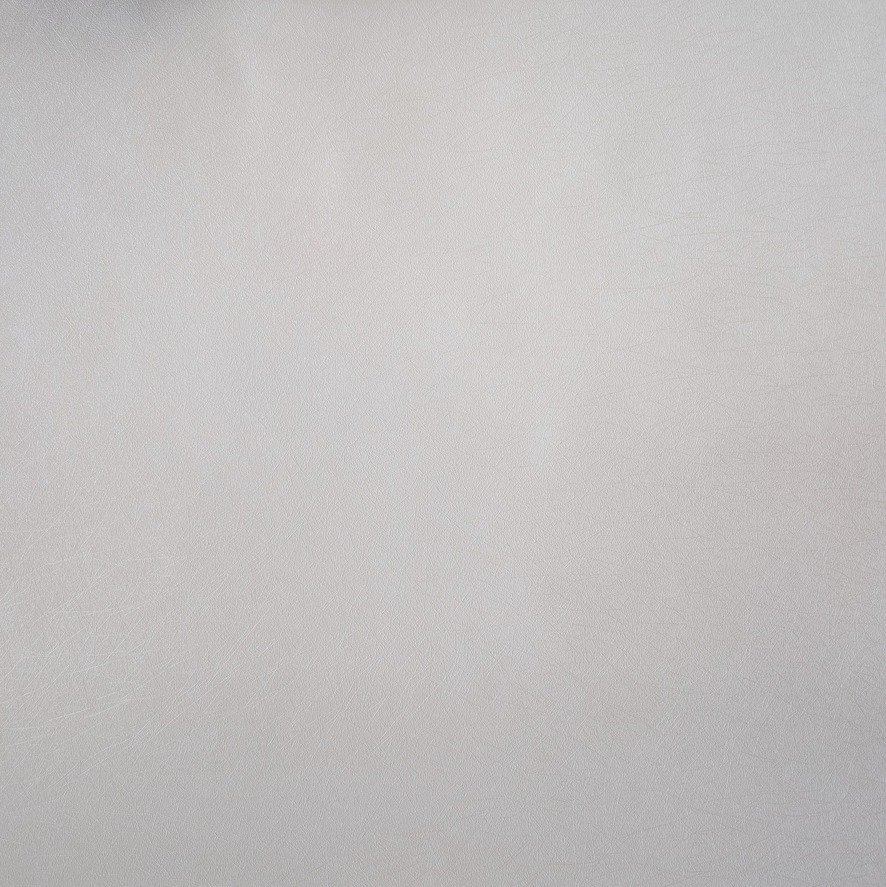 Обои виниловые на флизелиновой основе AS Creation Flower Symphonie 79042-2 Паутинка 1 м Молочный (79042-2)