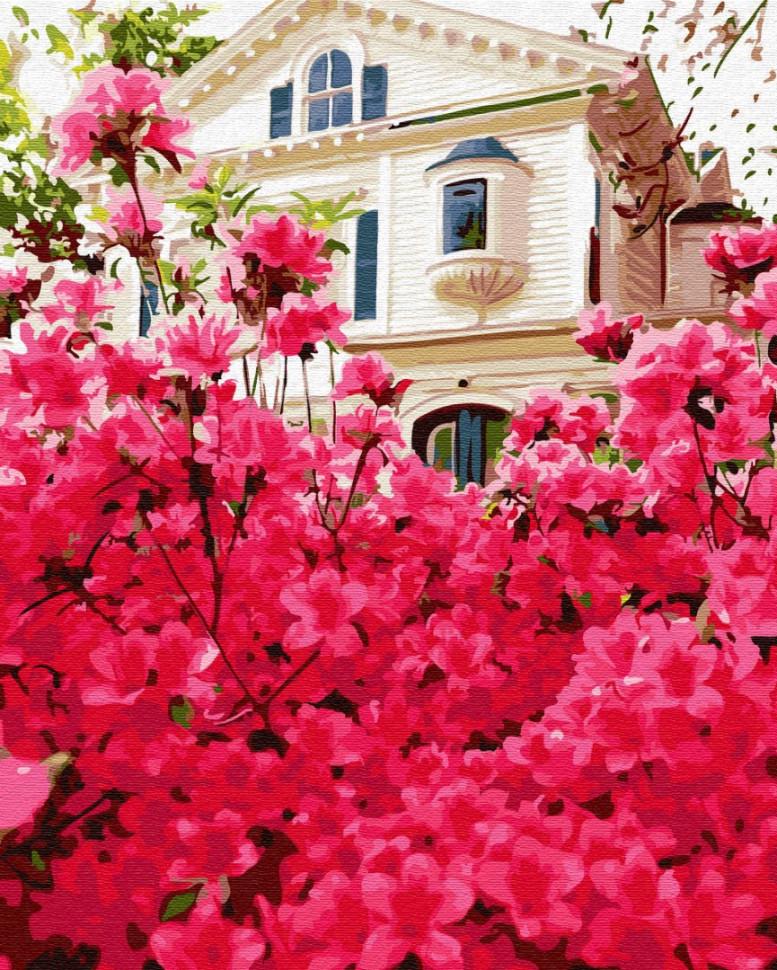 Картина за номерами Brushme Будинок в кольорах (GX30186)