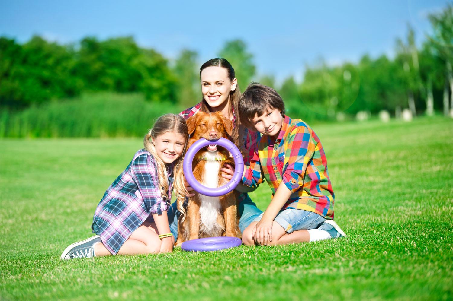 Тренувальний снаряд для собак Puller Standard 28 см (6490) - фото 29