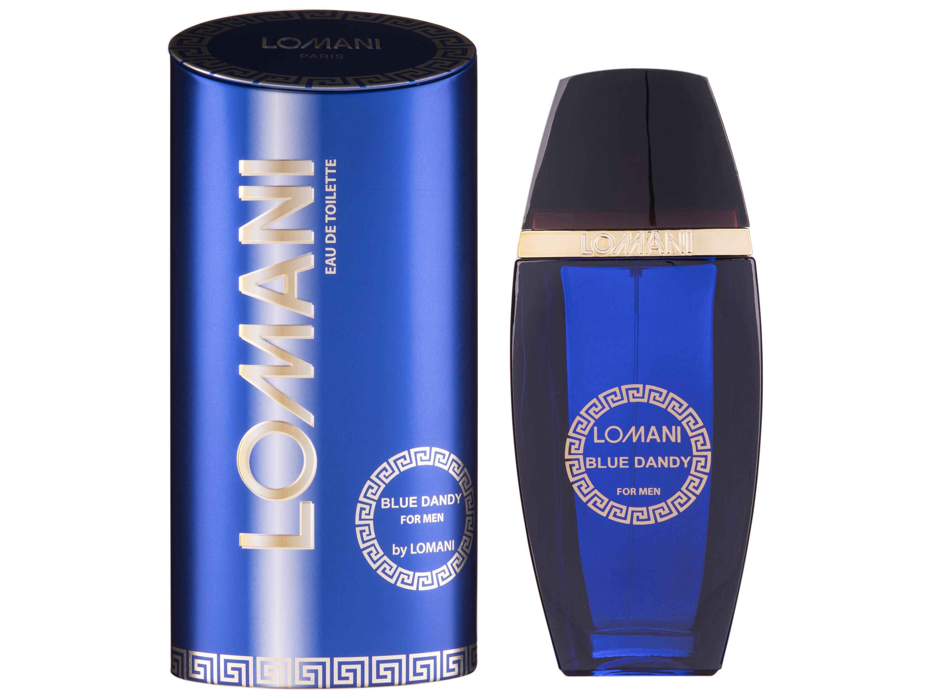 Туалетная вода Parfums Parour Lomani Blue Dandy Parour 100 мл