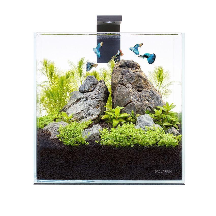 Комплект акваріумний Pico Set 5 л (7141)