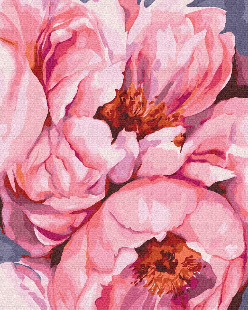 Картина по номерам Brushme Роскошь лепестков 40x50 см (PBS53941)