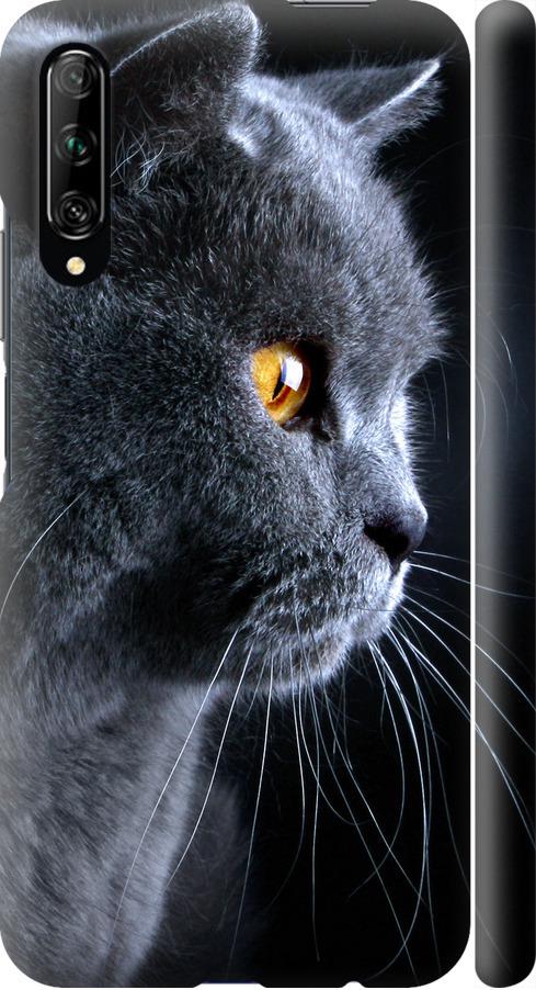 Чехол на Huawei P Smart Pro Красивый кот (3038m-1906-42517)