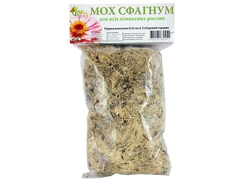 Мох Сфагнум