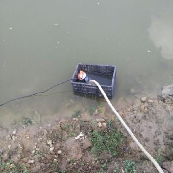 Насос для перекачки воды Rewolt погружной 12 В (RE SLW-12V) - фото 5 Насос для перекачки воды Rewolt погружной 12 В (RE SLW-12V) - фото 5