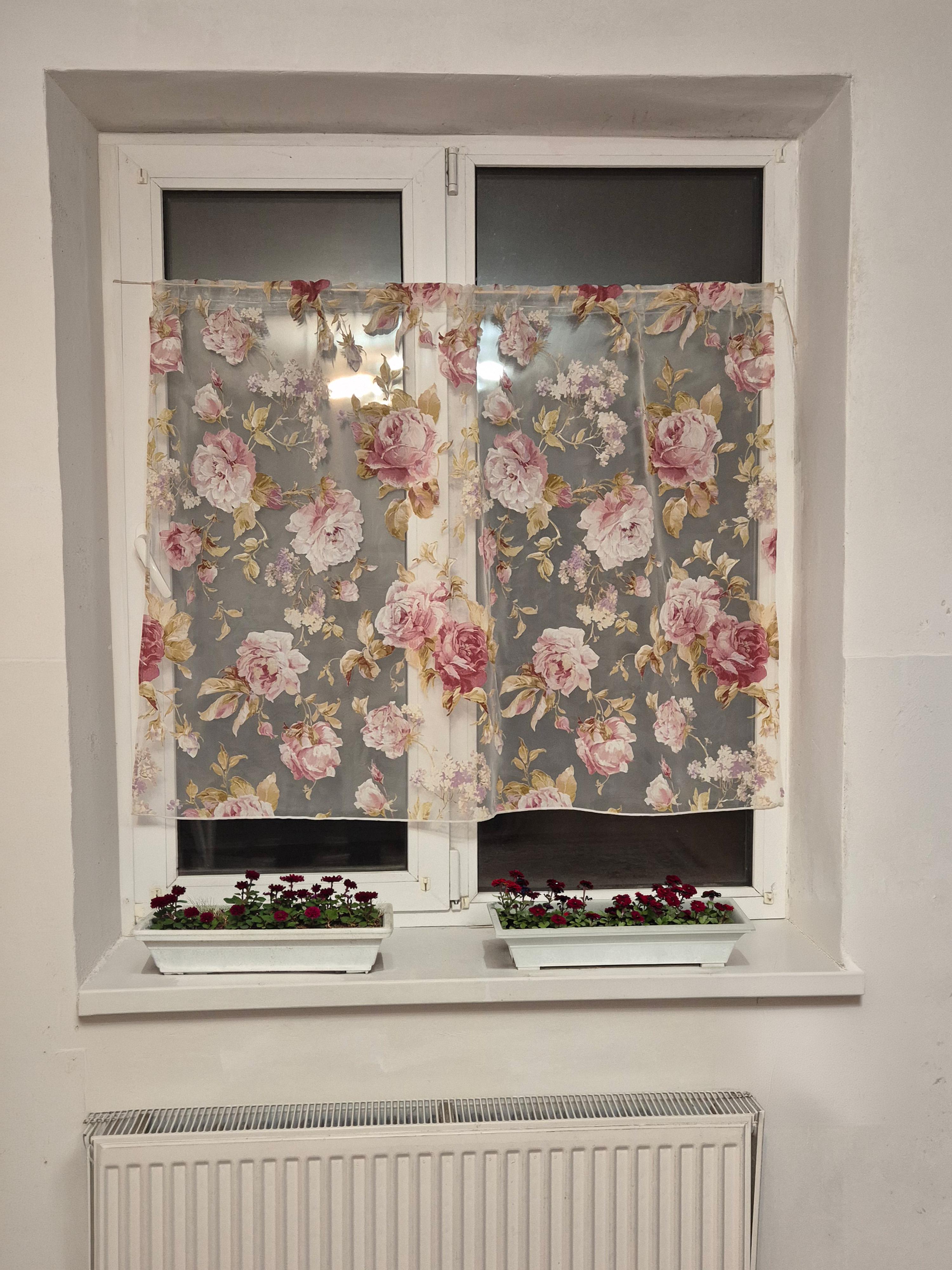 Занавеска Lumelle Rose 130x96 см Белый с розами (11_5ф) Занавеска Lumelle Rose 130x96 см Белый с розами (11_5ф)