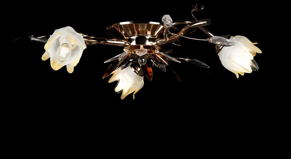 Люстра з плафонами Ray L313/3 FGD+BRN (IR005589)