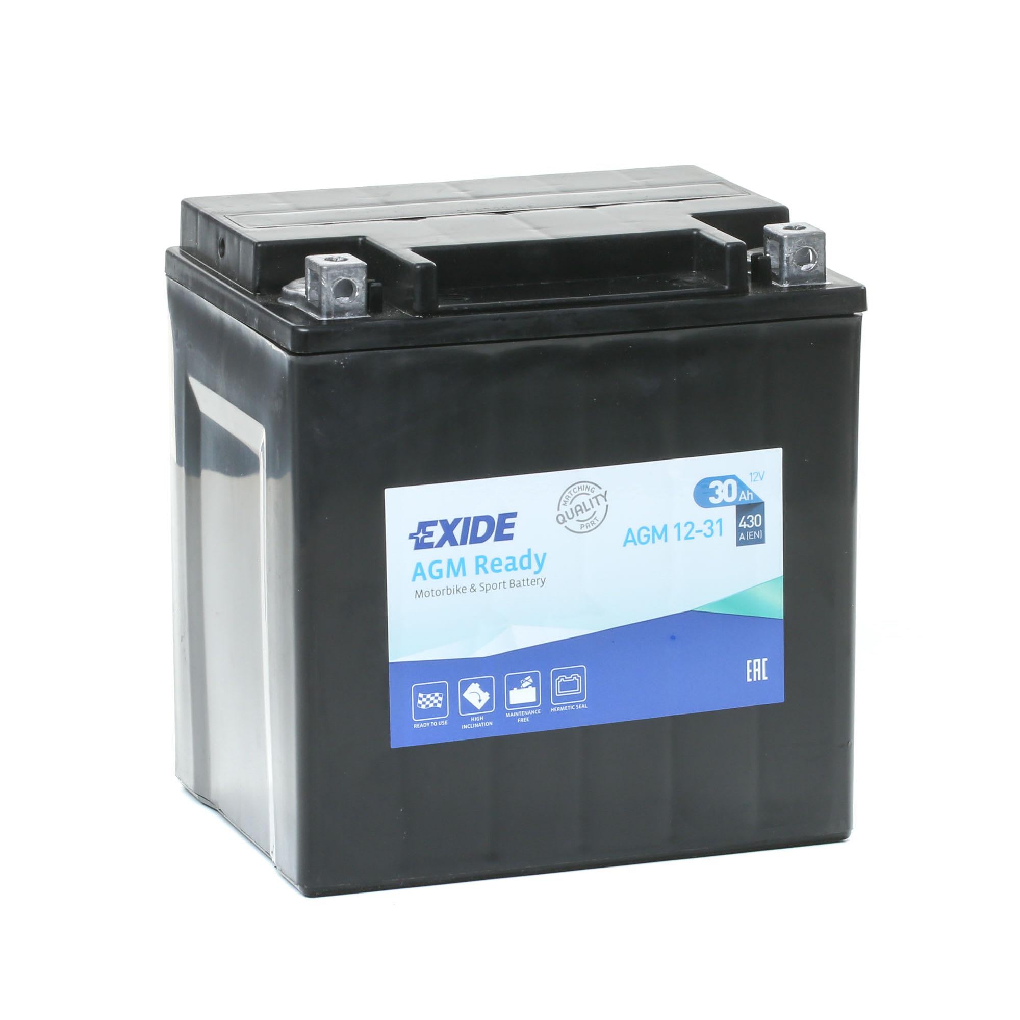 Аккумулятор EXIDE AGM 12-31