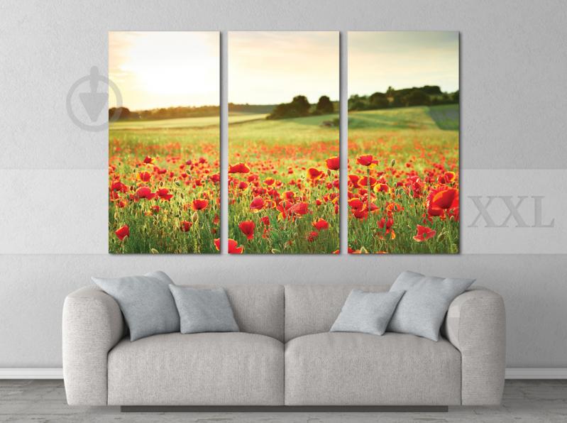Модульна картина Poster-land Природа Поле Art-187_XXL