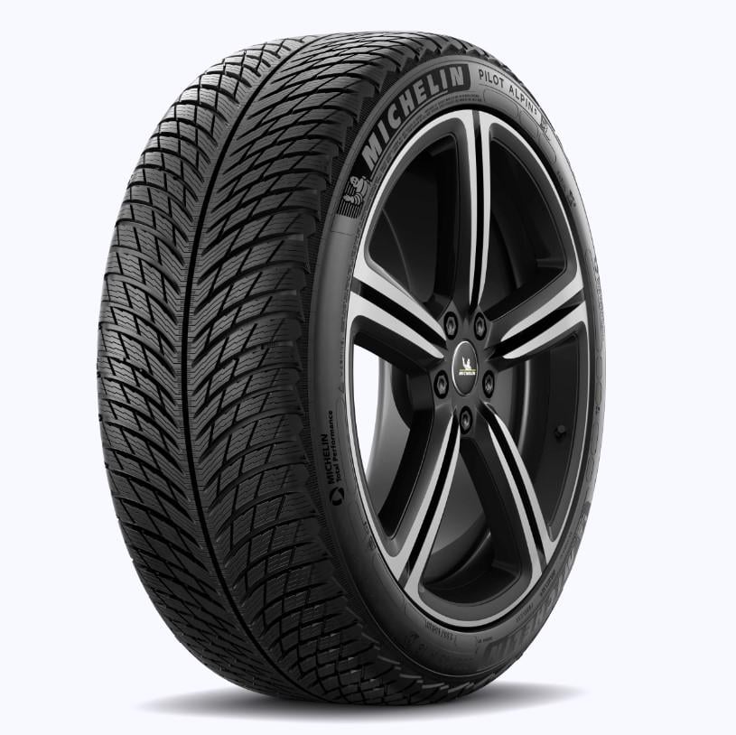 Шина Michelin Pilot Alpin 5 295/30 R21 102V XL NA0 зима