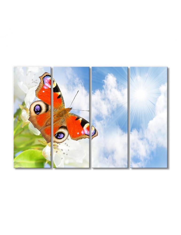 Картина модульная Солнечное небо и бабочка 4 модуля 120x180 см