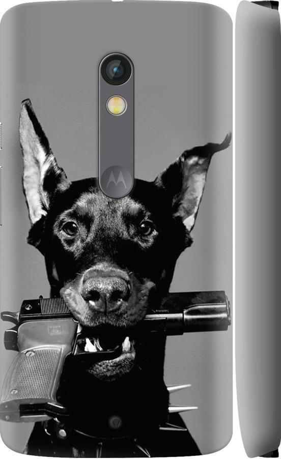 Чехол на Motorola Moto X Play Доберман (2745m-459-42517) Чехол на Motorola Moto X Play Доберман (2745m-459-42517)