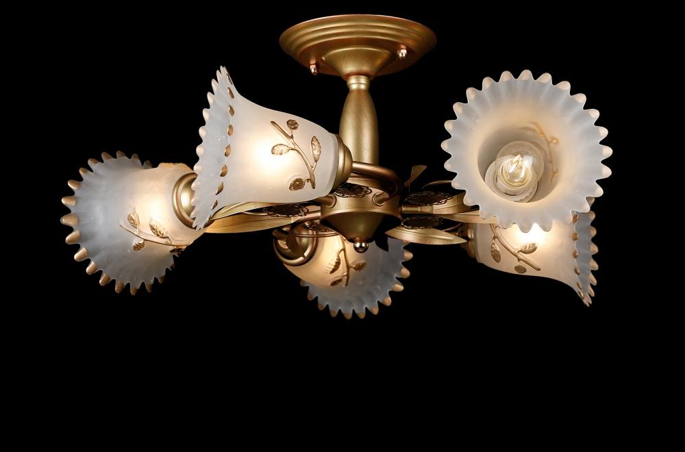 Люстра с плафонами Ray L2144/5 879709 (IR005953)