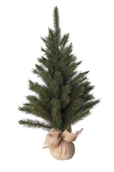 Искусственная сосна на стол с инеем Forest Frosted Triumph Tree 60 см Зеленый (CNT00011204) Искусственная сосна на стол с инеем Forest Frosted Triumph Tree 60 см Зеленый (CNT00011204)