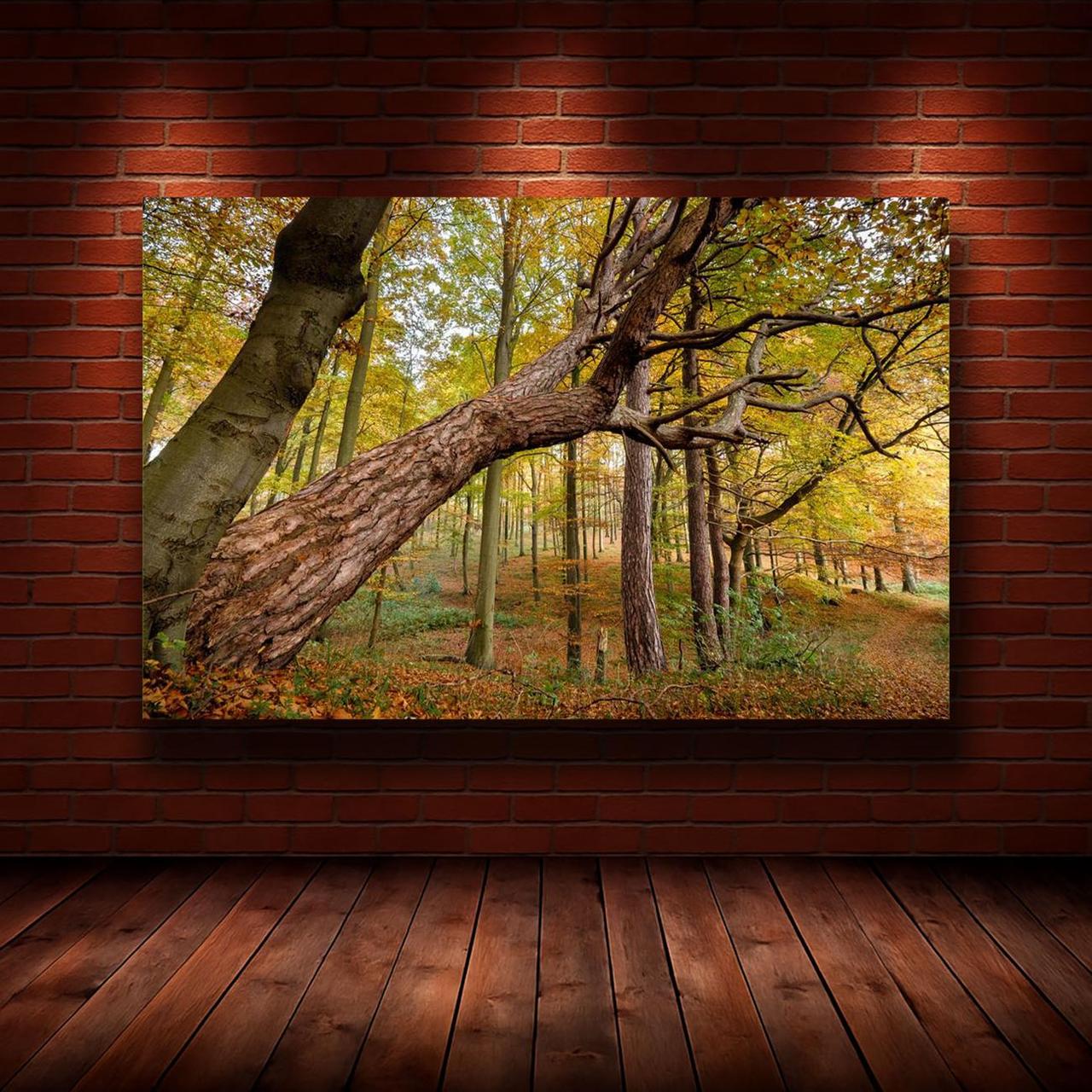 Картина на холсте Природа 50х70 см (N1232)