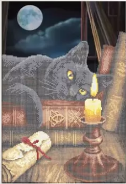 Схема для вышивки бисером Золотая Подкова Ученый кот ЗПТ-027 (2956)