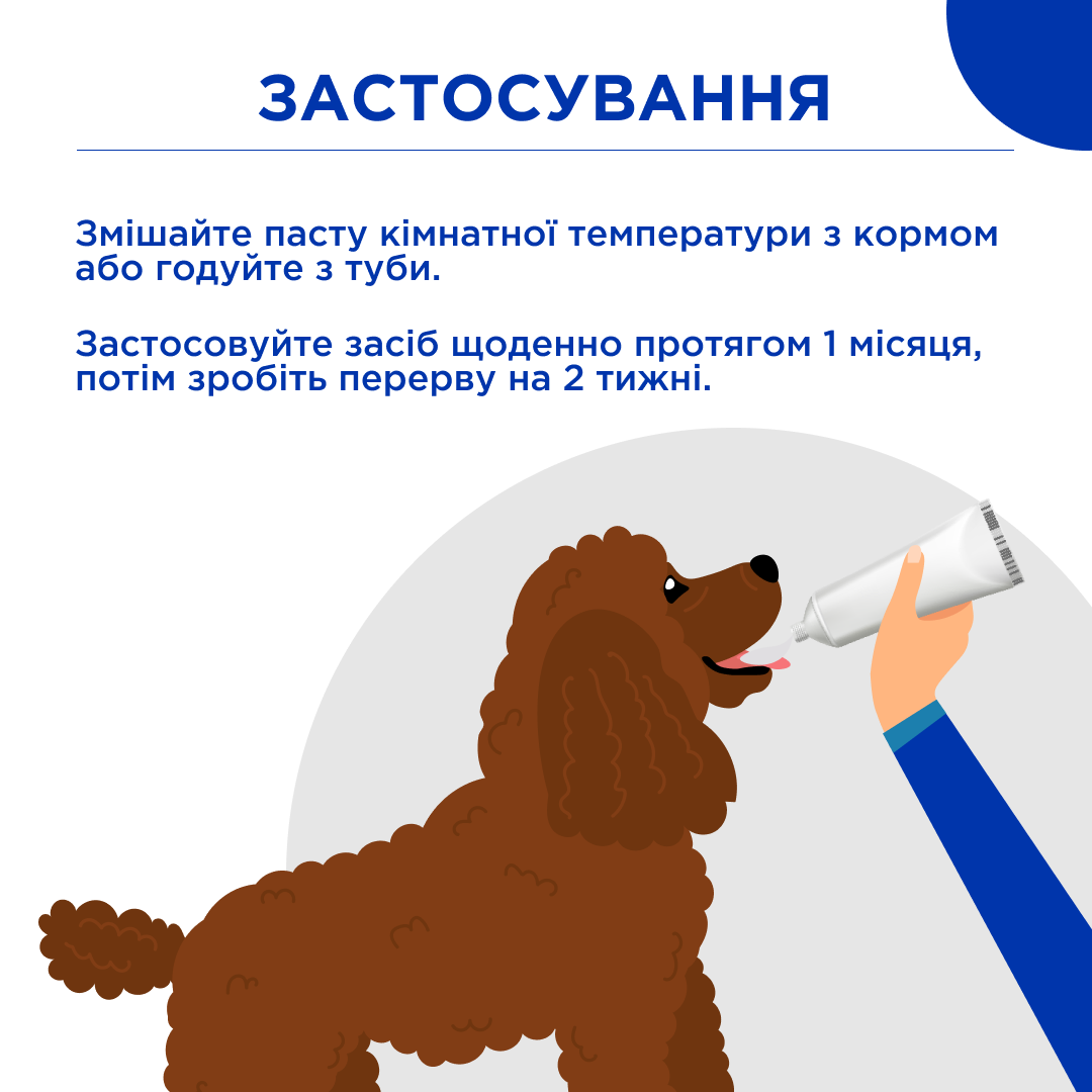 Вітаміни ModeS Paste Dr.KIS Intestinal для підтримки здоров'я шлунково-кишкового тракту котів та собак 50 г (27874725) - фото 4 Вітаміни ModeS Paste Dr.KIS Intestinal для підтримки здоров'я шлунково-кишкового тракту котів та собак 50 г (27874725) - фото 4
