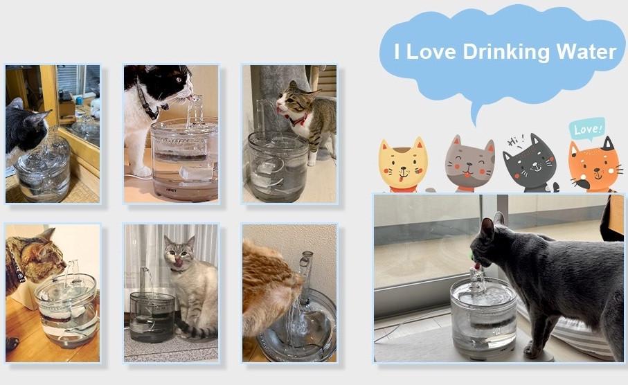 Поилка фонтан для кошек и собак NPET WF050 1,5 л с фильтром Прозрачный (1456288345) - фото 10 Поилка фонтан для кошек и собак NPET WF050 1,5 л с фильтром Прозрачный (1456288345) - фото 10