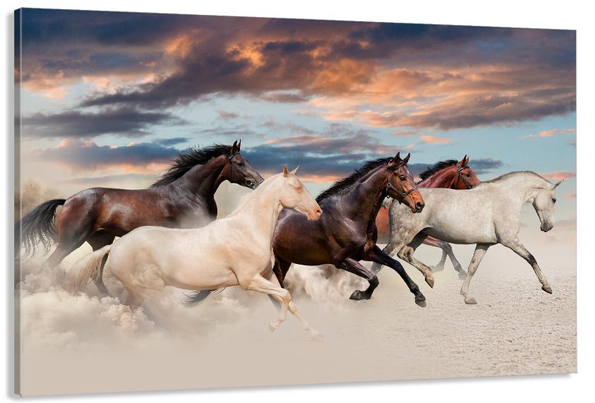 Картина на холсте в гостиную/спальню Природа коней 30х60 см (MLP_380)