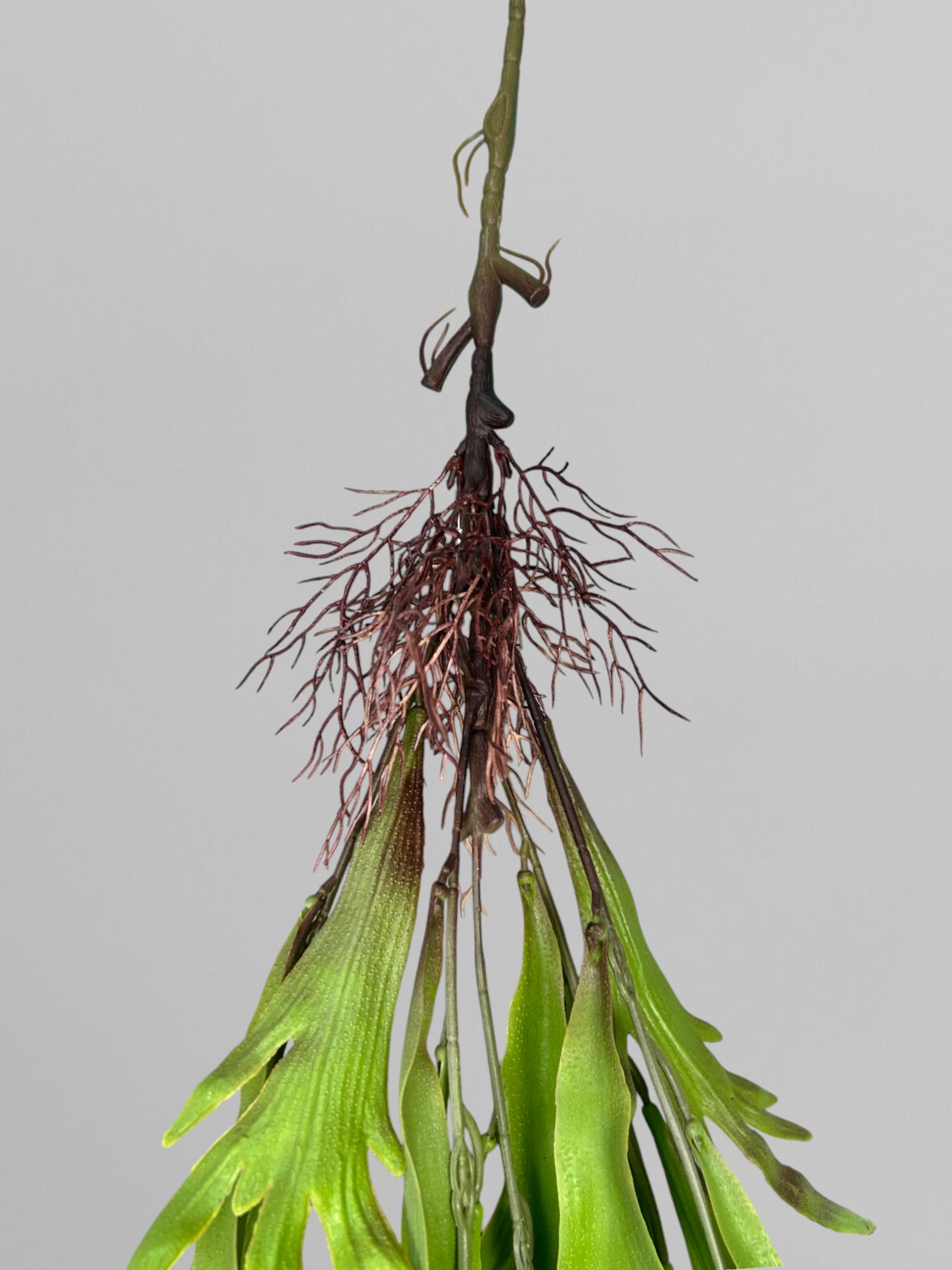 Искусственный папоротник платицериум 110 см Светло-зеленый (Р01039) - фото 3 Искусственный папоротник платицериум 110 см Светло-зеленый (Р01039) - фото 3