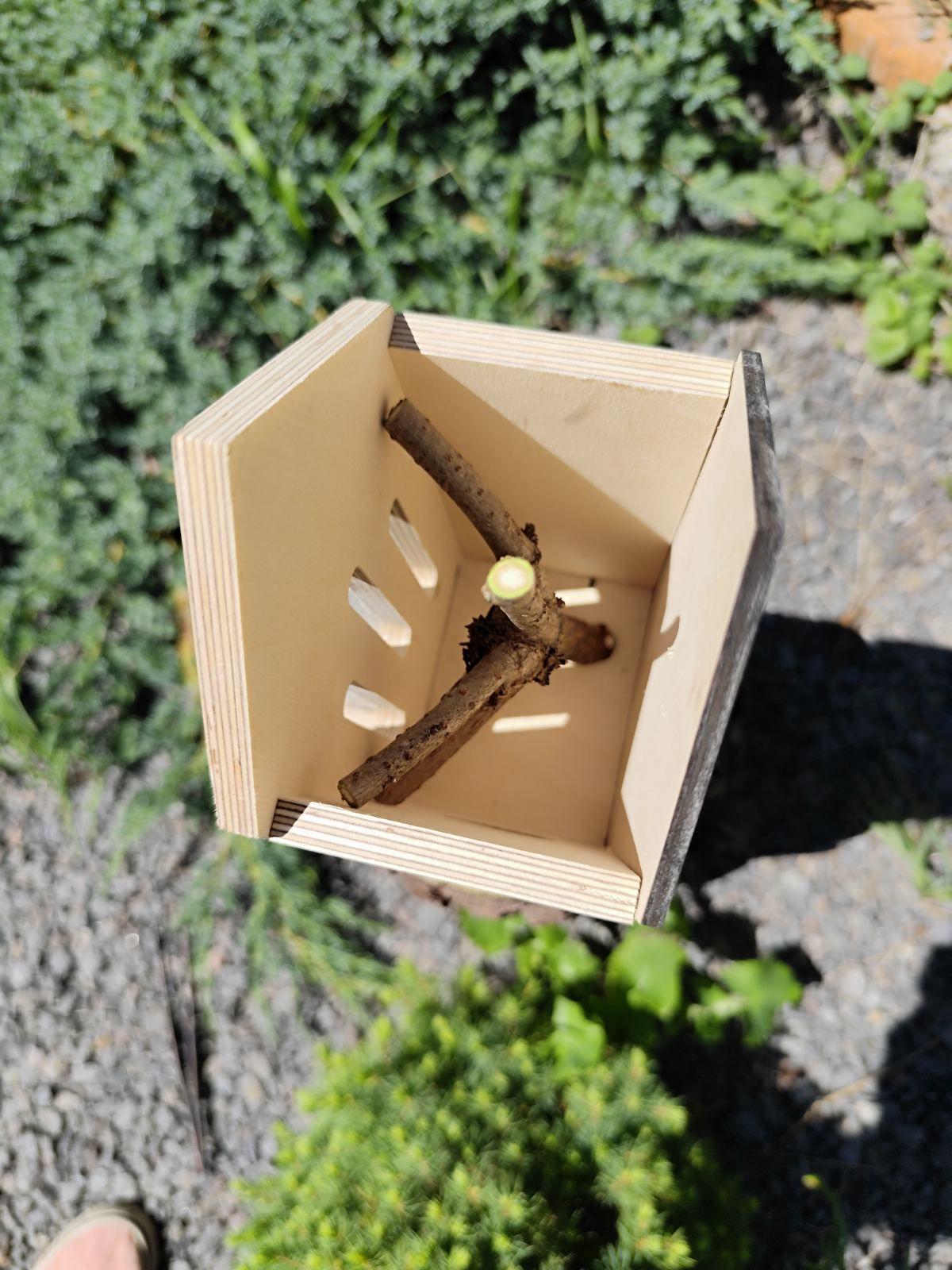 Домик Оазис для бабочек с поилкой Некрашеный (0002251) - фото 6