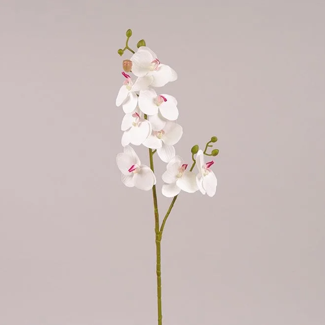 Цветок Фаленопсис из латекса Flora Белый с розовой серединкой (72613)