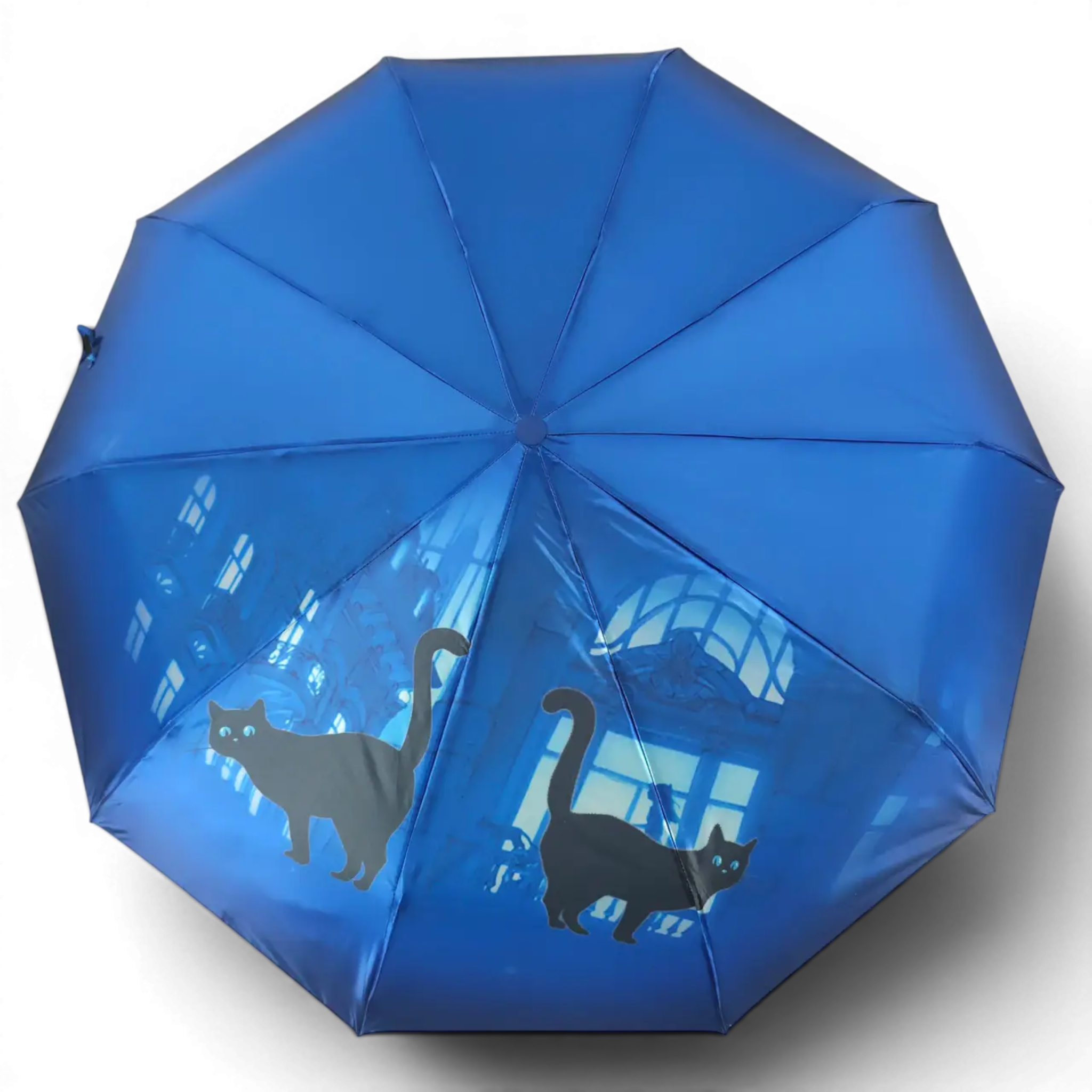 Парасолька жіноча Rainwalker Cats R4054 автомат на 9 спиць Blue (12250Blue)
