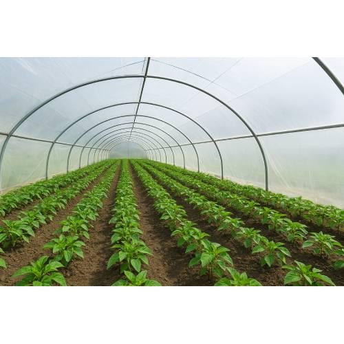 Пленка для теплиц Vatan Plastik прозрачная 150 мкм 36 мес. 14 м (28062055) - фото 2 Пленка для теплиц Vatan Plastik прозрачная 150 мкм 36 мес. 14 м (28062055) - фото 2