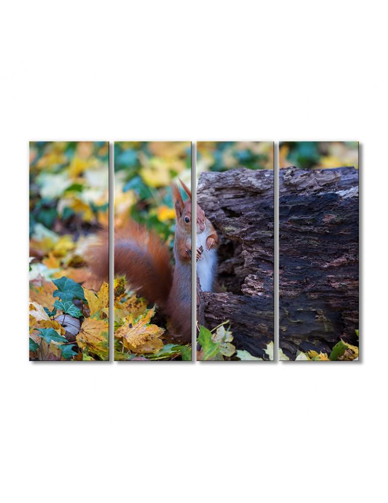 Картина модульная Подглядывающая белка в осенней листве 4 модуля 70x105 см (094353ZHivotnye0014)