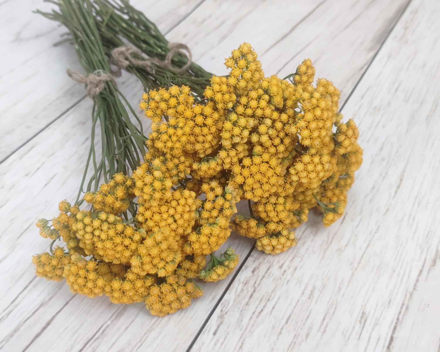 Сухоцвет лонас для зимних букетов 30 шт. (2273901595)