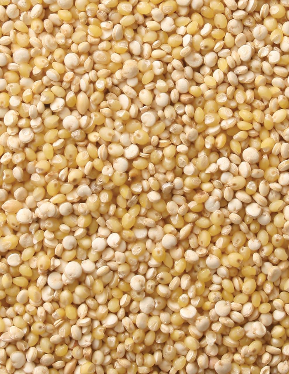 Рисоварка Joseph Joseph M-Cuisine для мікрохвильовки (45002) - фото 9 Рисоварка Joseph Joseph M-Cuisine для мікрохвильовки (45002) - фото 9