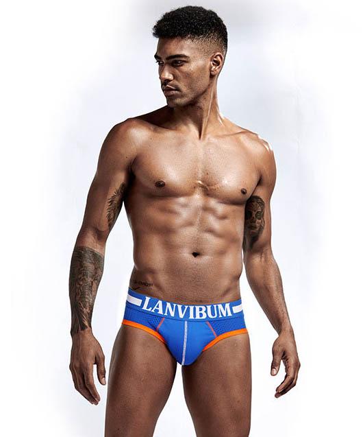 Трусы Lanvibum XL Синий (5554)