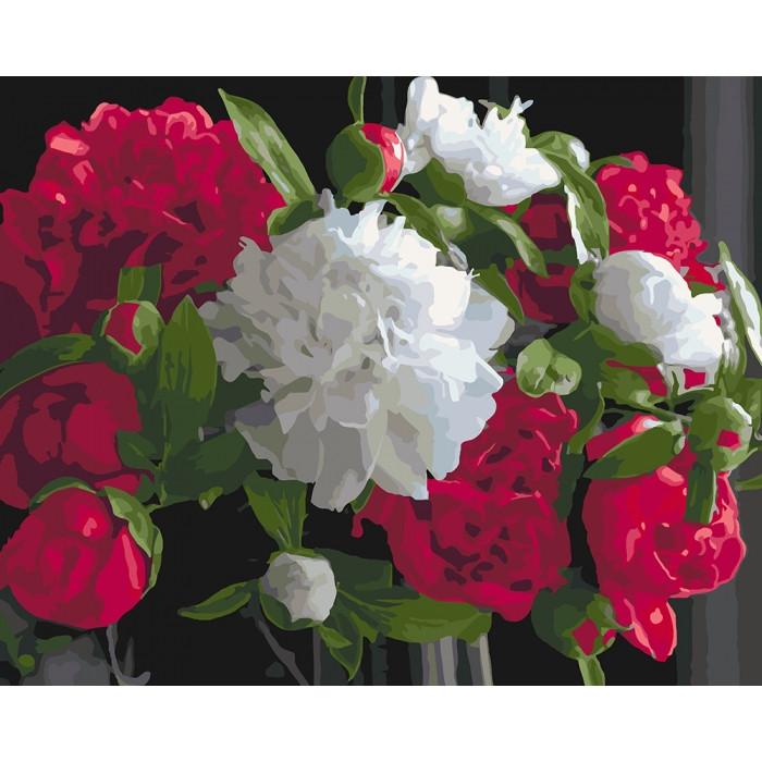 Картина по номерам Ідейка Роскошные пионы 40х50 см (KHO3051)