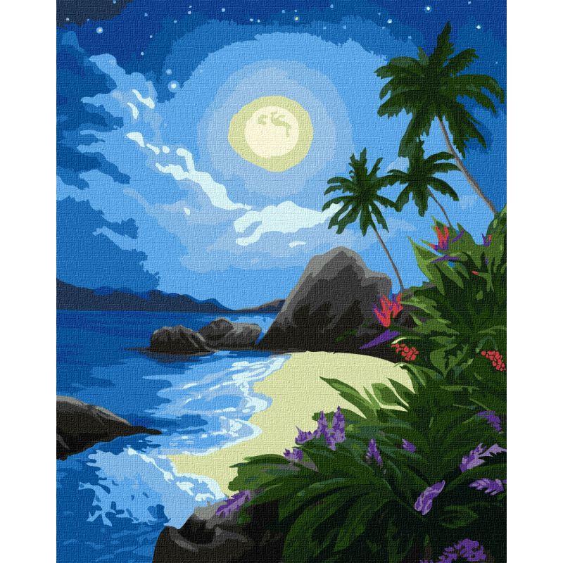 Картина за номерами Ideyka Місячна ніч KHO2730 40x50 см (RLT26735)