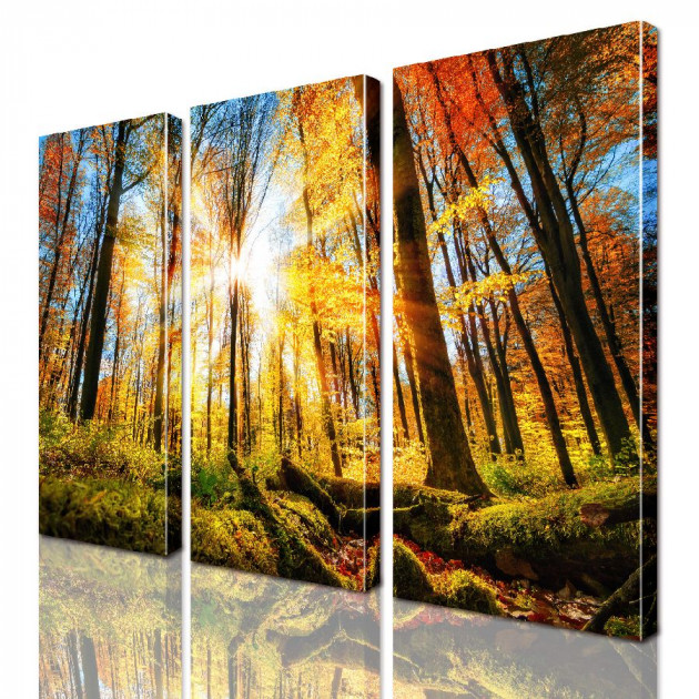 Картина модульная ArtStar ADNA0171 150х180 см 3 части