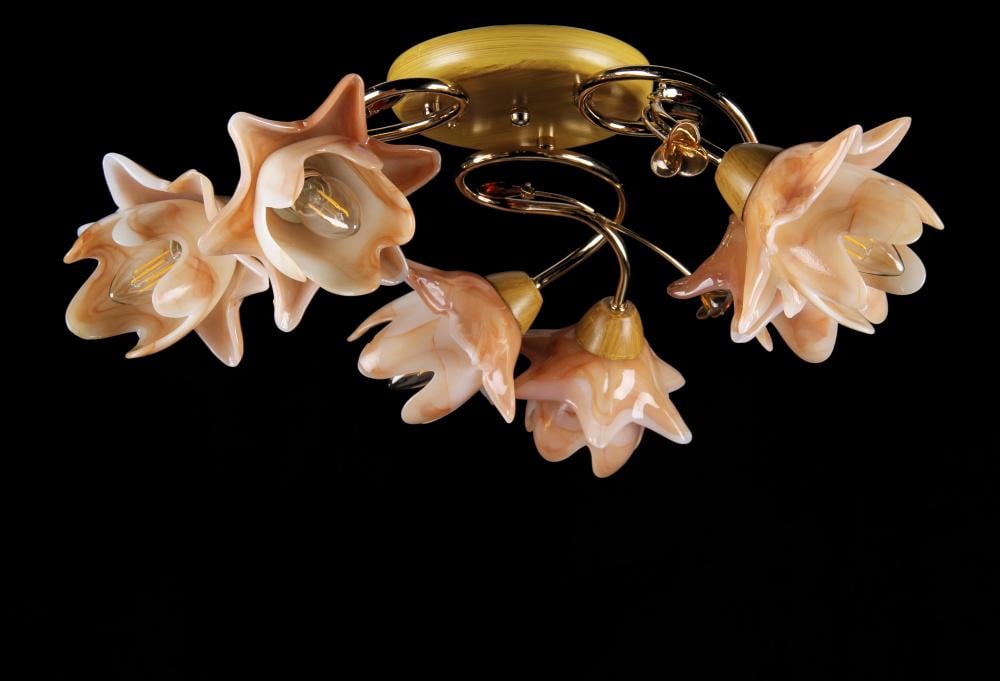 Люстра с плафонами Ray L04746/6 FGD (IR006087)