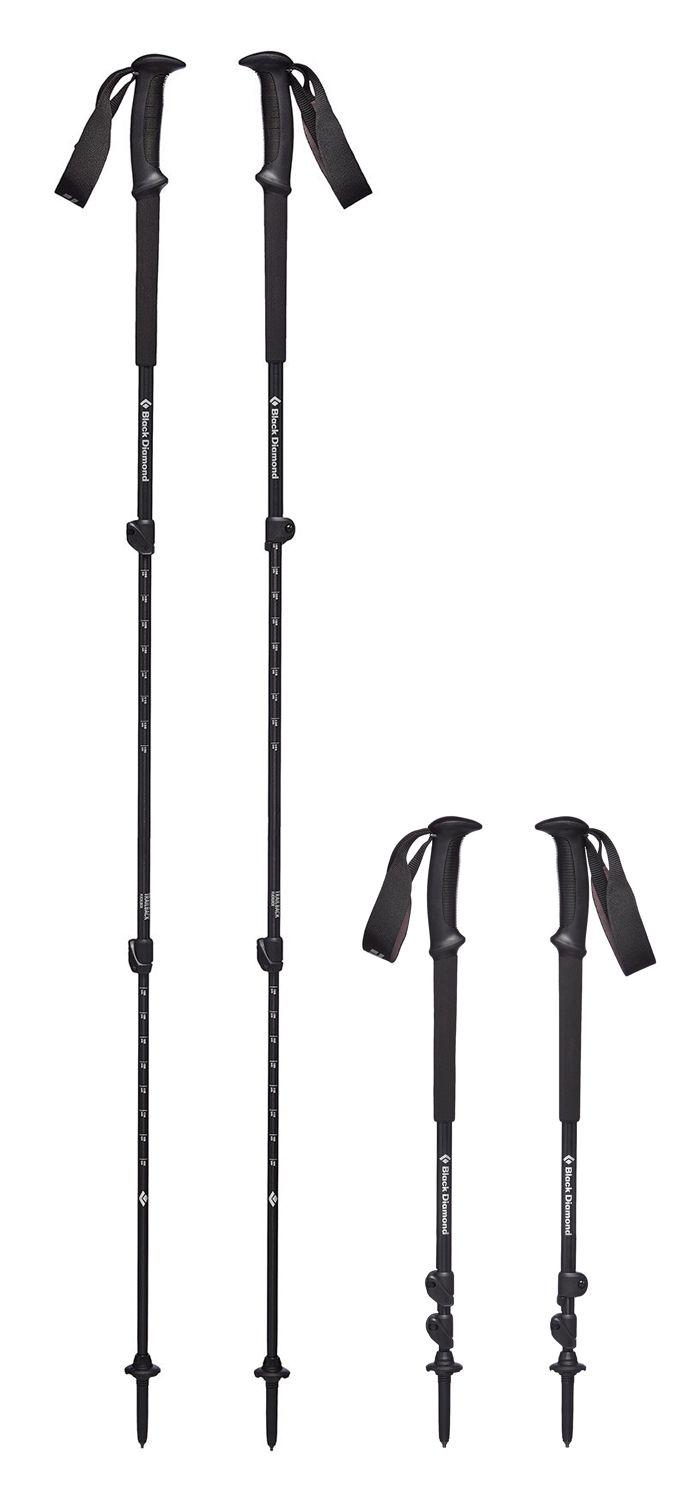 Палки трекінгові Black Diamond Trail Back Raging Sea (1033-BD 112227.3028)