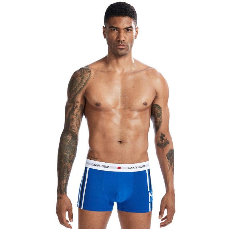 Трусы Lanvibum L Синий (7229)