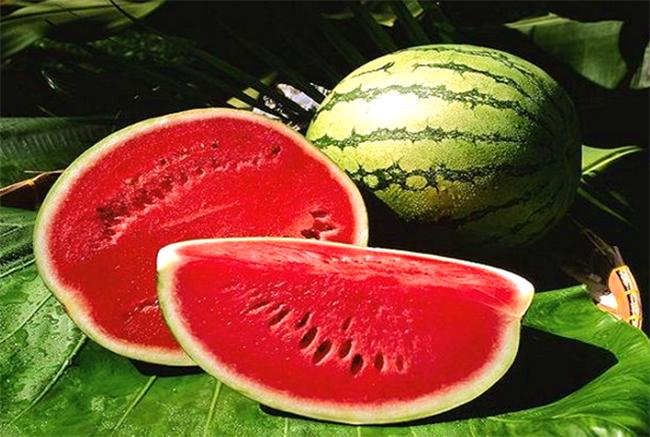 Картина по номерам Josef Otten Натюрморты Арбузы 40х50 см в термопакете (5476RA_O-mt)