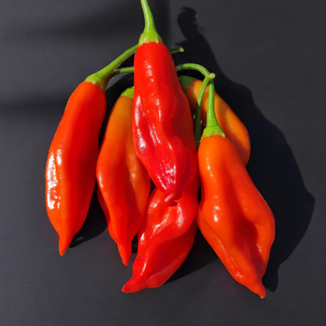 Семена BabelFish Red Capsicum baccatum Перец острый 5 шт. (2462183470)