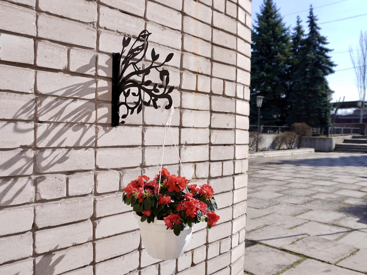 Кронштейн Воробей для кашпо с цветами метал Черный (М007) - фото 9 Кронштейн Воробей для кашпо с цветами метал Черный (М007) - фото 9