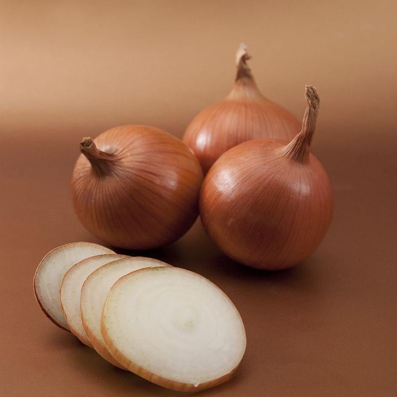 Семена Лук Репчатый Syngenta BOSKO F1 250 000 шт. (2281237539)